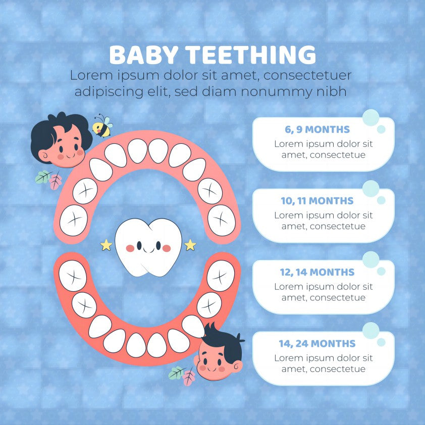 Comprehending the Dentist’s Plan: Tooth Number Chart - Oclean FAQs