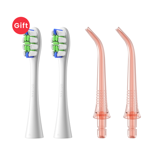 Free Gift P1C1 + N10 (2-ct)-Toothbrush Replacement Heads-Oclean US Store